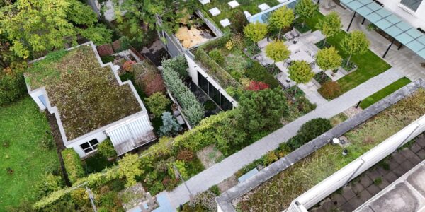 Techos verdes: la fusión entre naturaleza y ciudad